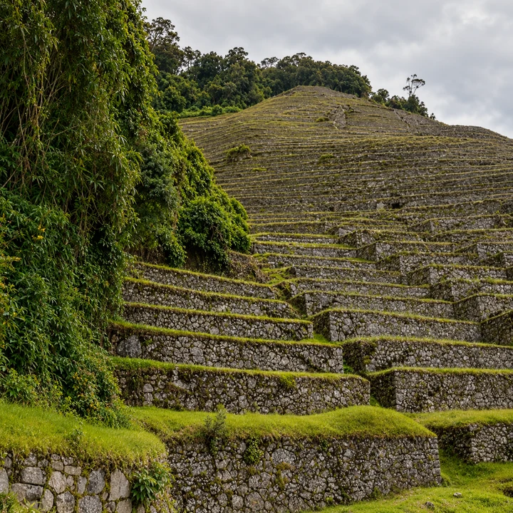 Stone agricultural terraces rising beside dense green vegetation.