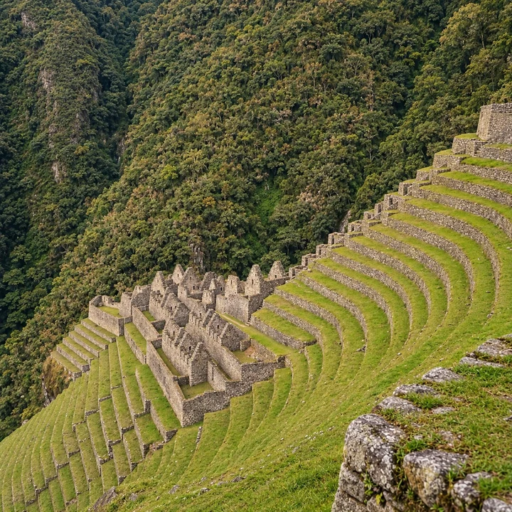 Wiñay Wayna stone buildings and curved terraces on a forested slope.