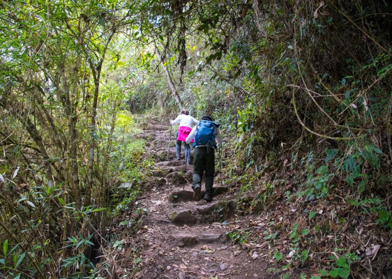 Inca Trail 2 days to Machu Picchu jungle route with lush vegetation and scenic trekking Peru