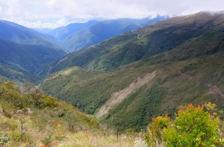 Manu 3 days jungle tour from Cusco Peru rainforest experience
