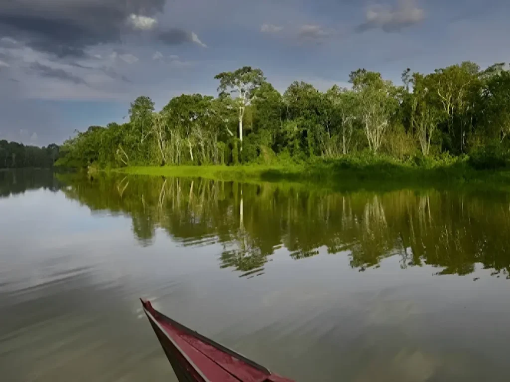 Sandoval lake in Tambopata Amazon Peru calm water surrounded by rainforest