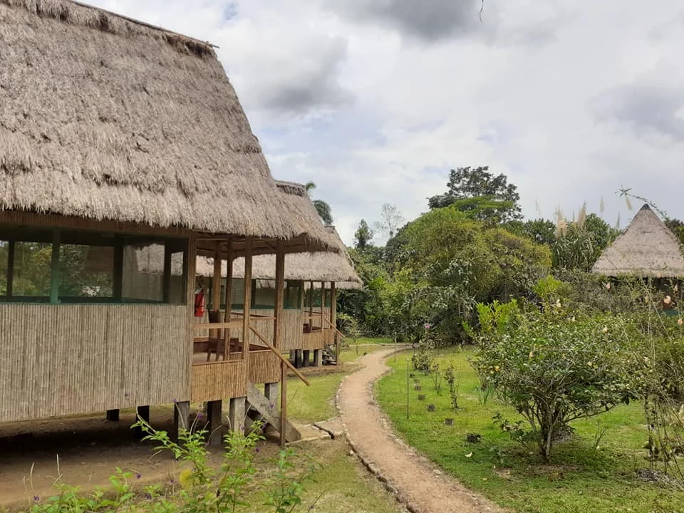 Eco friendly lodge in Tambopata rainforest Peru nature and wildlife experience