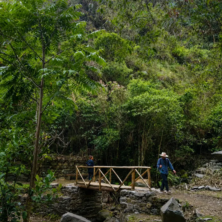Trekkers crossing a wooden footbridge beside a forest stream.