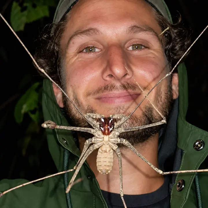 Traveler observing a giant spider during a night walk in Manu.