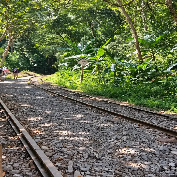 Travelers walking beside the railway through the jungle near Hidroelectrica.