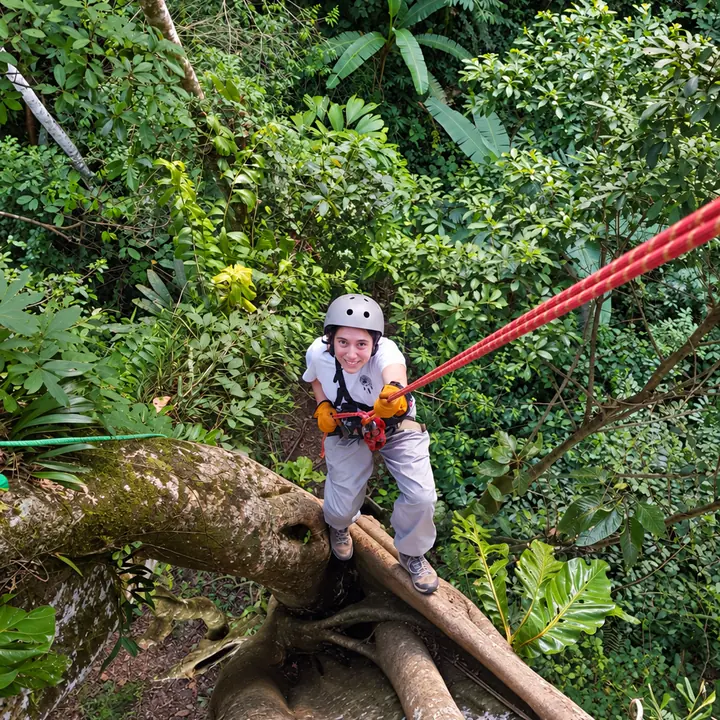 Traveler crossing the rainforest canopy with safety gear in Manu.
