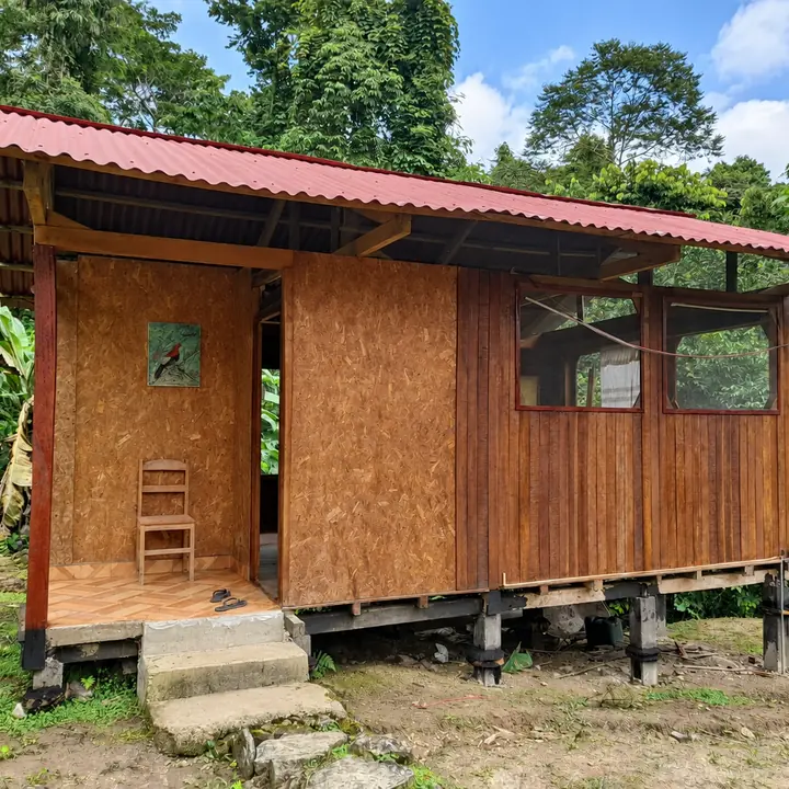Private wooden cabin surrounded by dense rainforest vegetation.