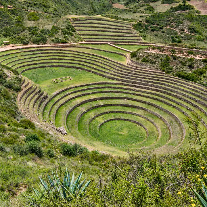Green circular terraces at the Moray archaeological site.